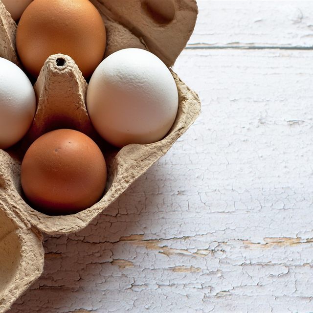 Huevos blancos y morenos en una caja de cartón